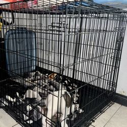 Dog Crates For Sale 
