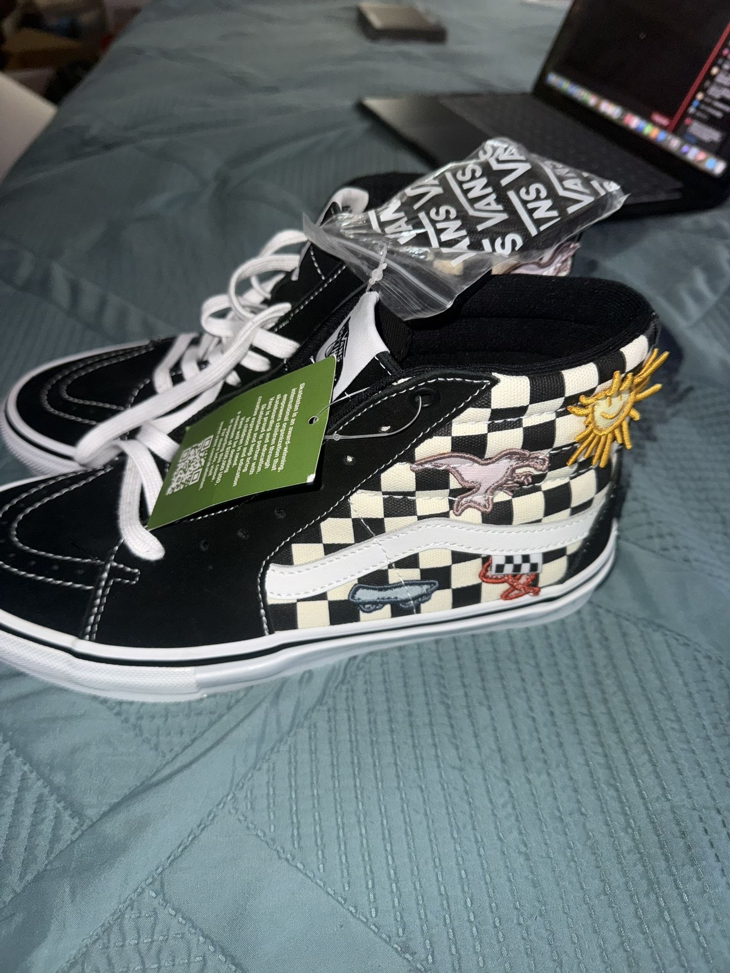 Vans Men’s Skate Shoes