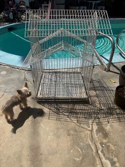 Large Metal Bird Cage with Open Top