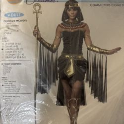 Egyptian Goddess Costume Medium
