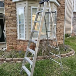 Werner 8 ft. Aluminum Step Ladder (12 ft. Reach Height) with 250 lb. Load Capacity Type Duty Rating