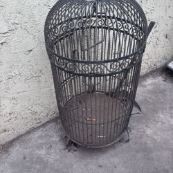Big Bird Cage 