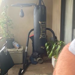 Punching Bag 