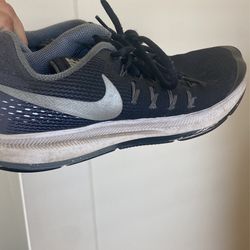 Nike Zoom Pegasus 33