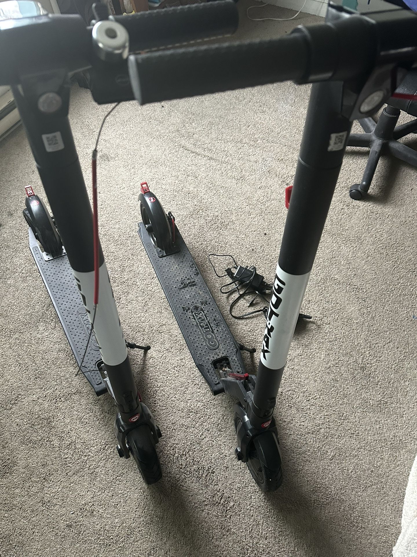 Gotrax Scooter