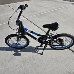 Guardian 16" Bike