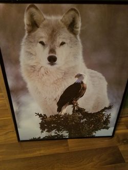 Nice picture like new