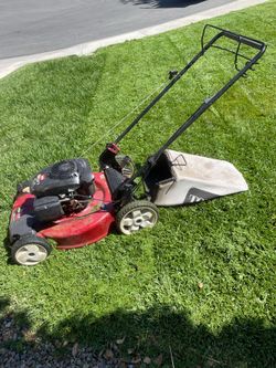 Toro