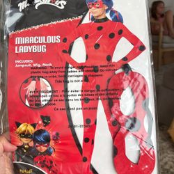 Lady Bug Costume With Eye Mask (no wig)