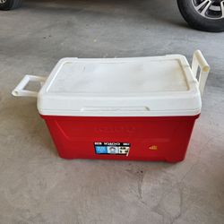 Cooler - Igloo- 45 Quarts
