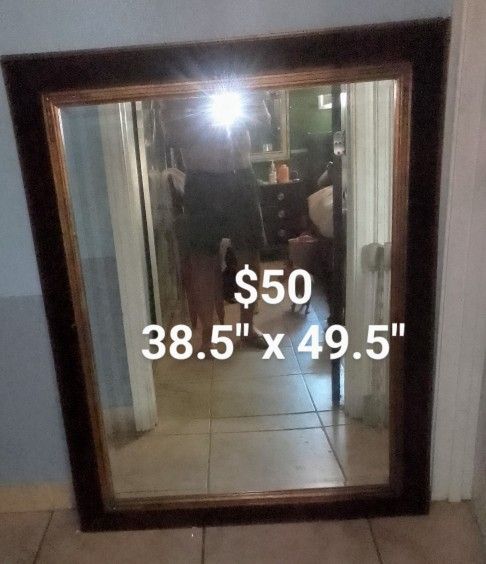 LG Wall Mirror 
