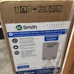 AO Smith Non Condensing Natural Gas Tankless Water Heater 