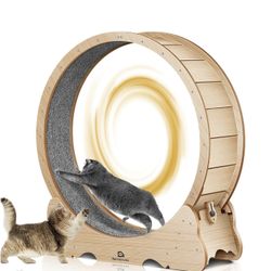 Large 40in Cat Wheel 