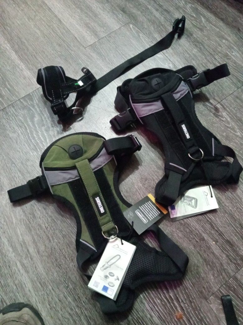 2 Dog Harnesses And One Muzzle
