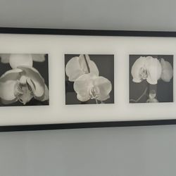 Long Picture Frame 28’L X 12’w