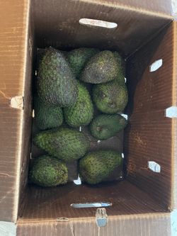 Guanabana fruta
