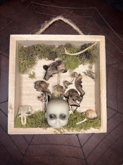 Baby Doll Head Oddity