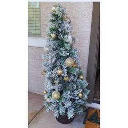 Christmas Tree Outdoor Flocked Set Of two 5’ 