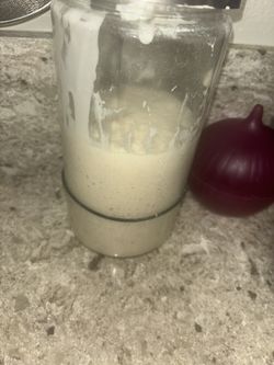 Sourdough starter