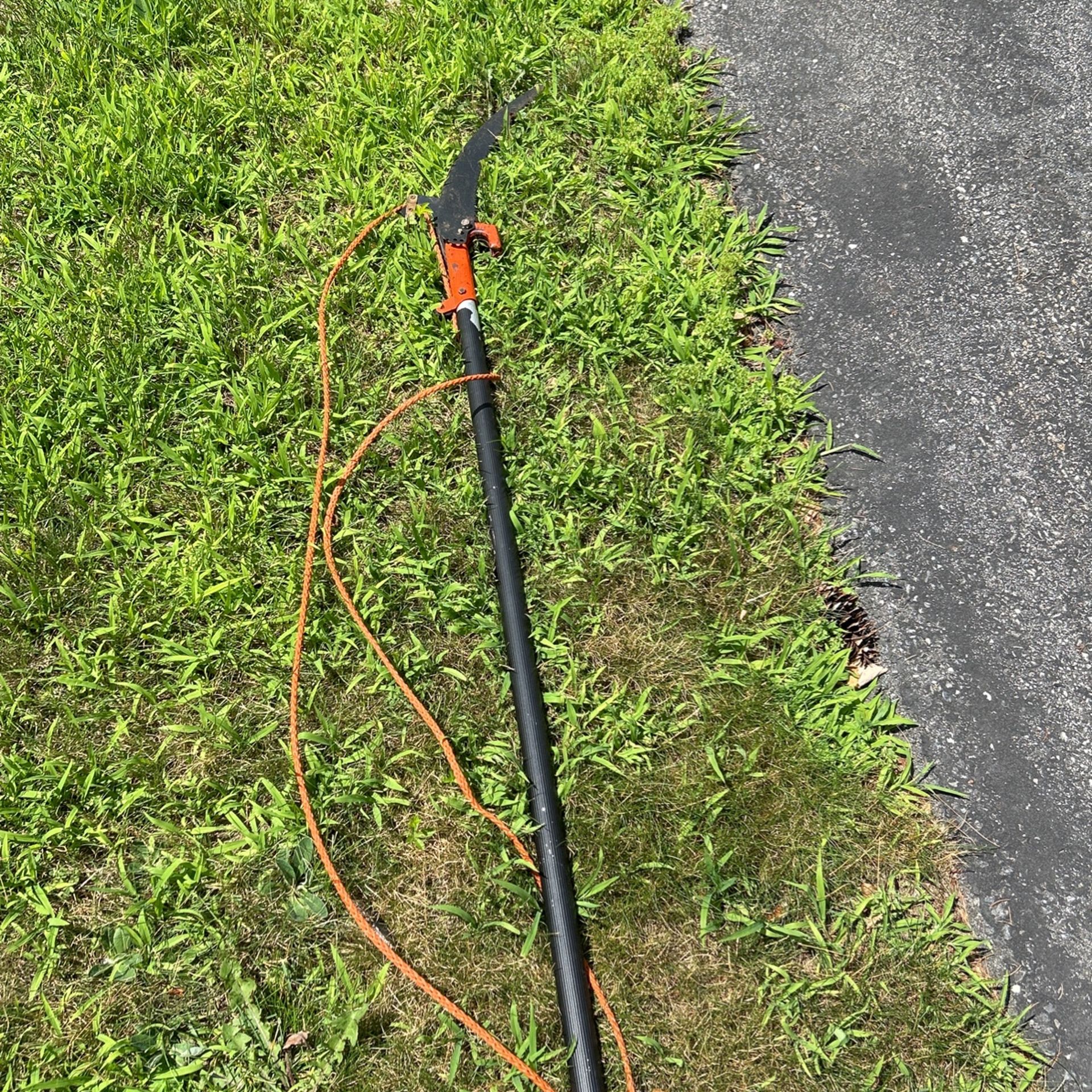 Extension Tree Trimmer