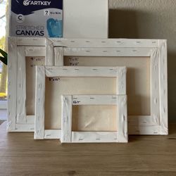 Stretched Canvases $20 For All 6, Variety Of Sizes