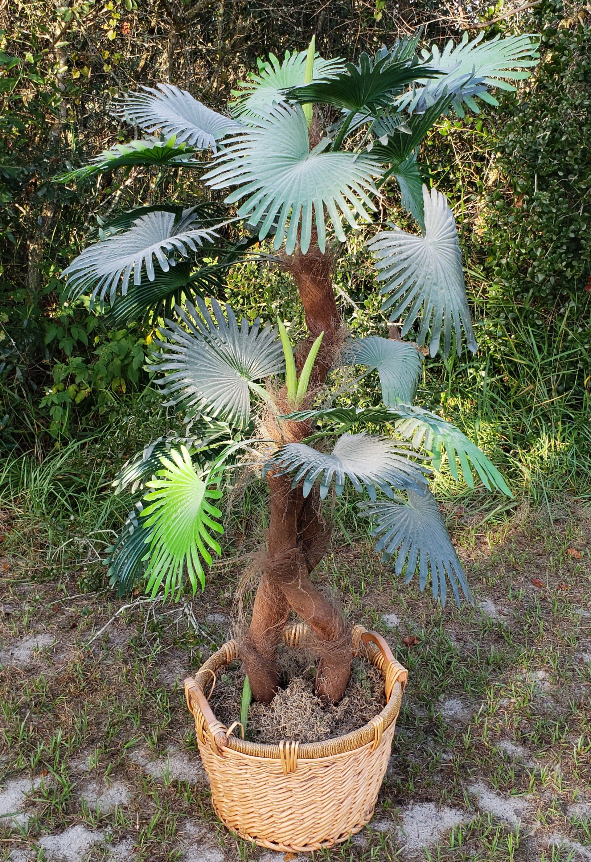 FLORIDA PALM TREE (FAKE PLANT) (MAKE OFFER) OBO