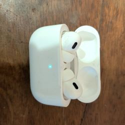 Air Pods Pro, Left Ear Bud Doesn't Work.