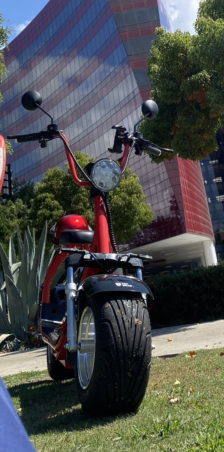 FatBear Scooter