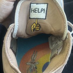 SPACE JAM X LEBRON 18 LOW 'WILE E. X ROADRUNNER'