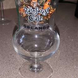 Disney Orlando Souvenir Glass Cups