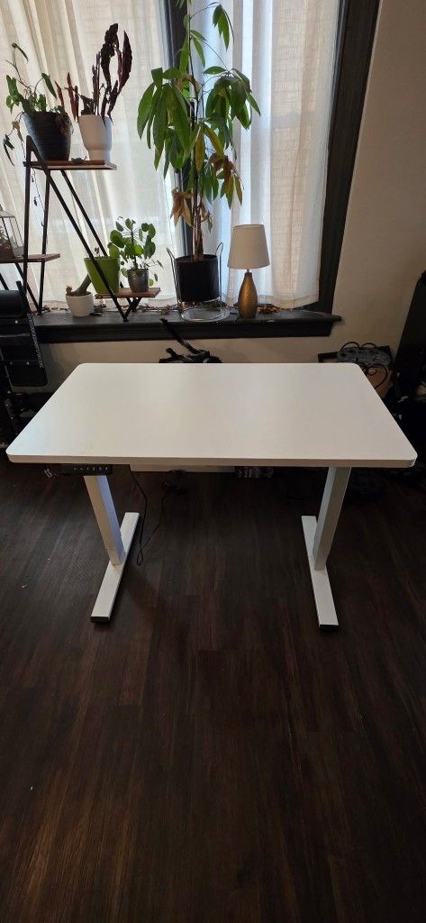 FLEXISPOT EN1 One-Piece Standing Desk