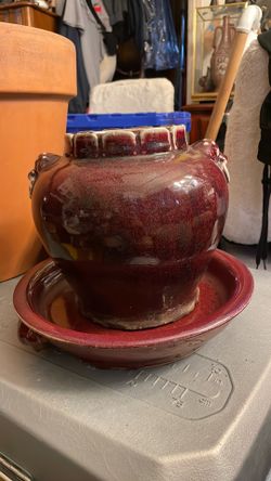 Small plant pot
