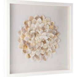 24”x24” 3D Framed Shell Art 