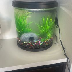 Fish Tank
