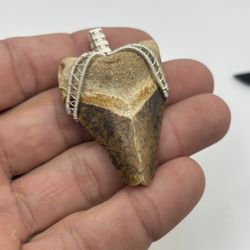 Florida Megalodon Shark Tooth Necklace  - Sterling Silver 
