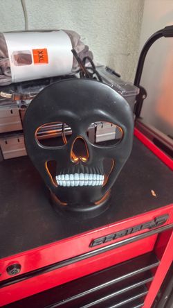 Black Skull Light-Up Decoration