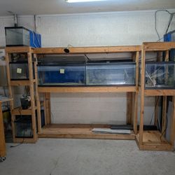 Fish Tank $1 Per Gallon