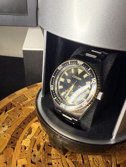 Citizen pro master watch