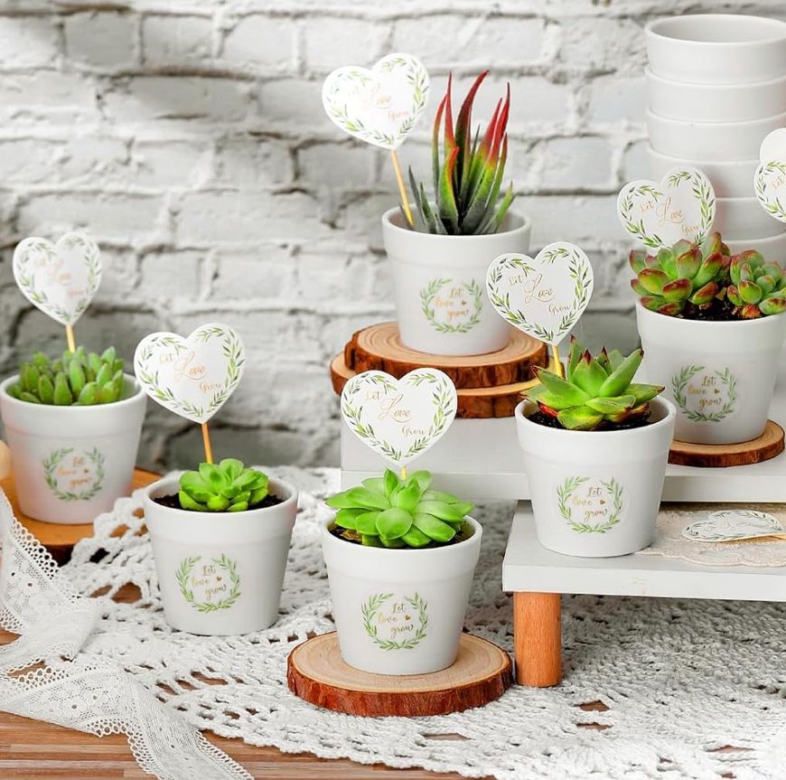 Succulent Favors For Your Next Event.