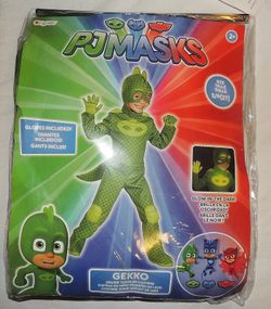 PM Masks Gekko Costume