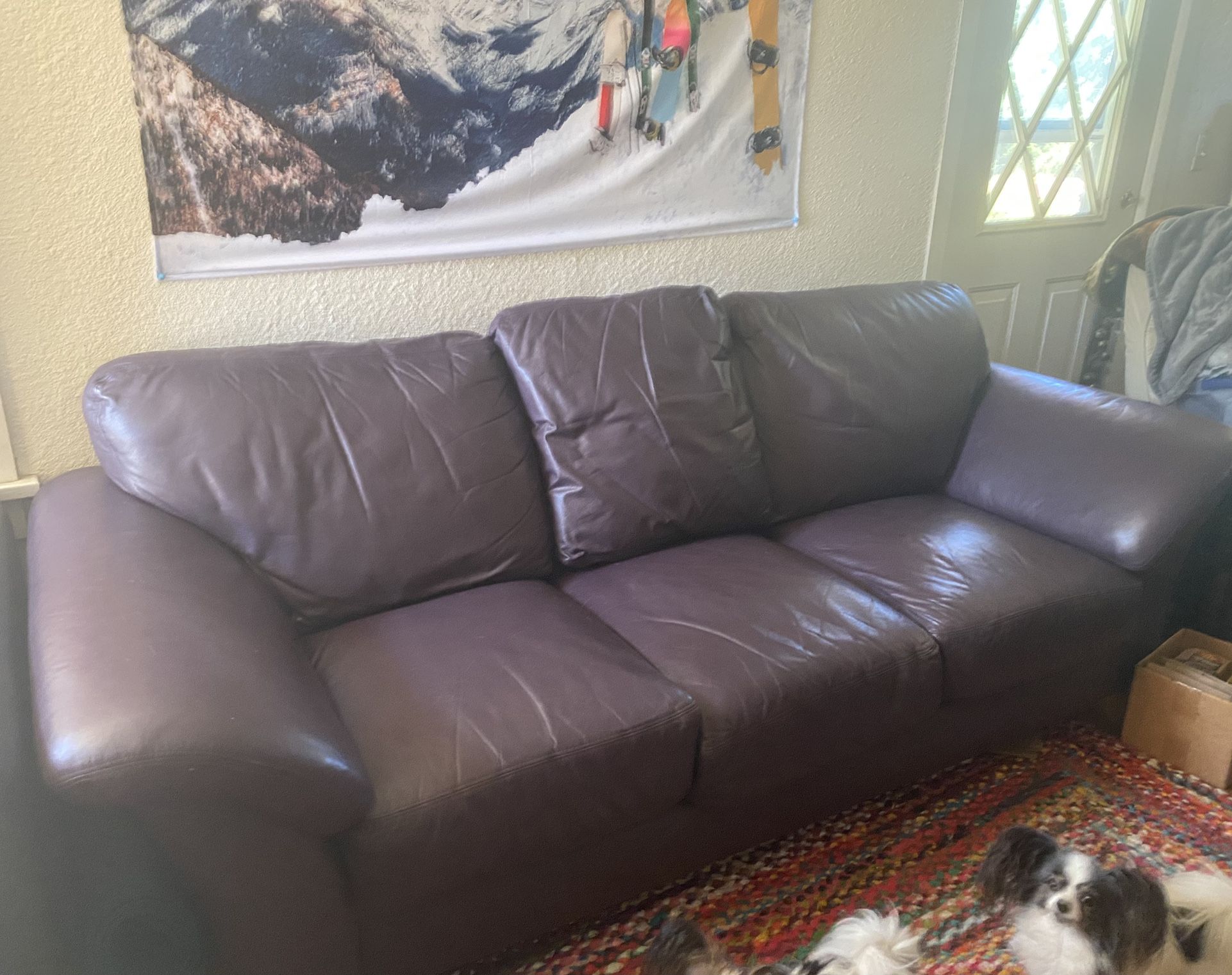 Dania Leather Couch
