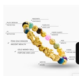 Surya Pixiu Multi Fortune Gemstone Bracelet