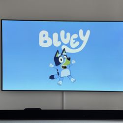 LG 65 inch 4K 120 Hz OLED TV - With Original Box And Stand