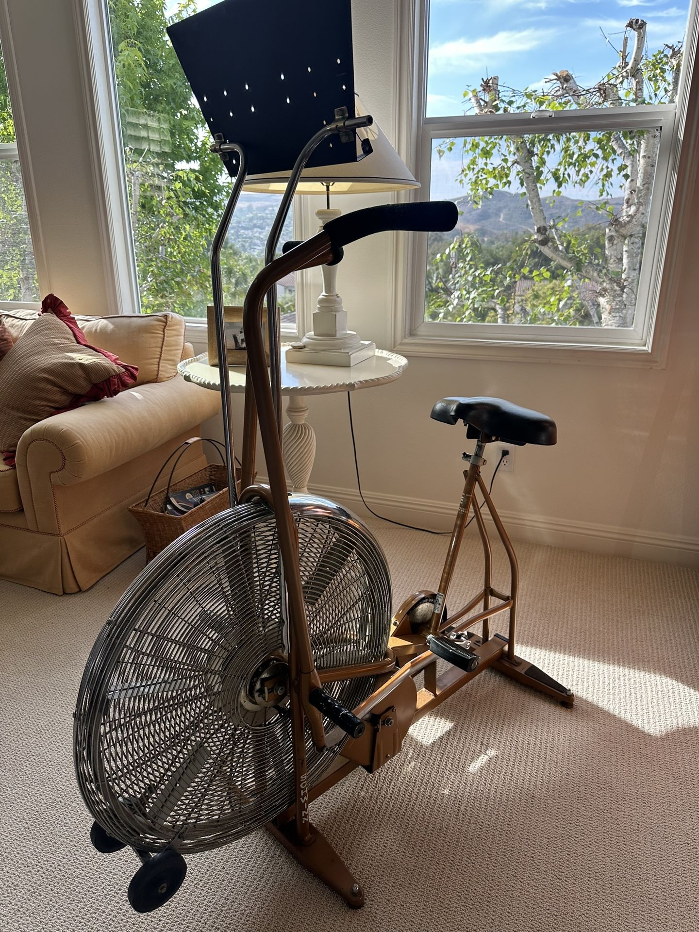Vintage Schwinn Air-dyne Stationary Bicycle.