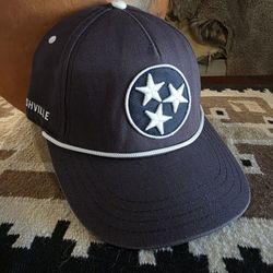 Journey Risk True Nashville Predators Inspired Blue Snapback Hat 