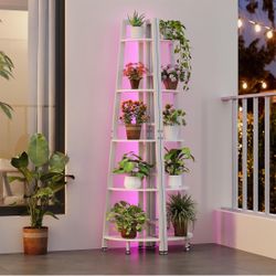 5-Tier Display Ladder Corner Shelf with LED Lights - 70 Inches - BRAND NEW STILL IN BOX