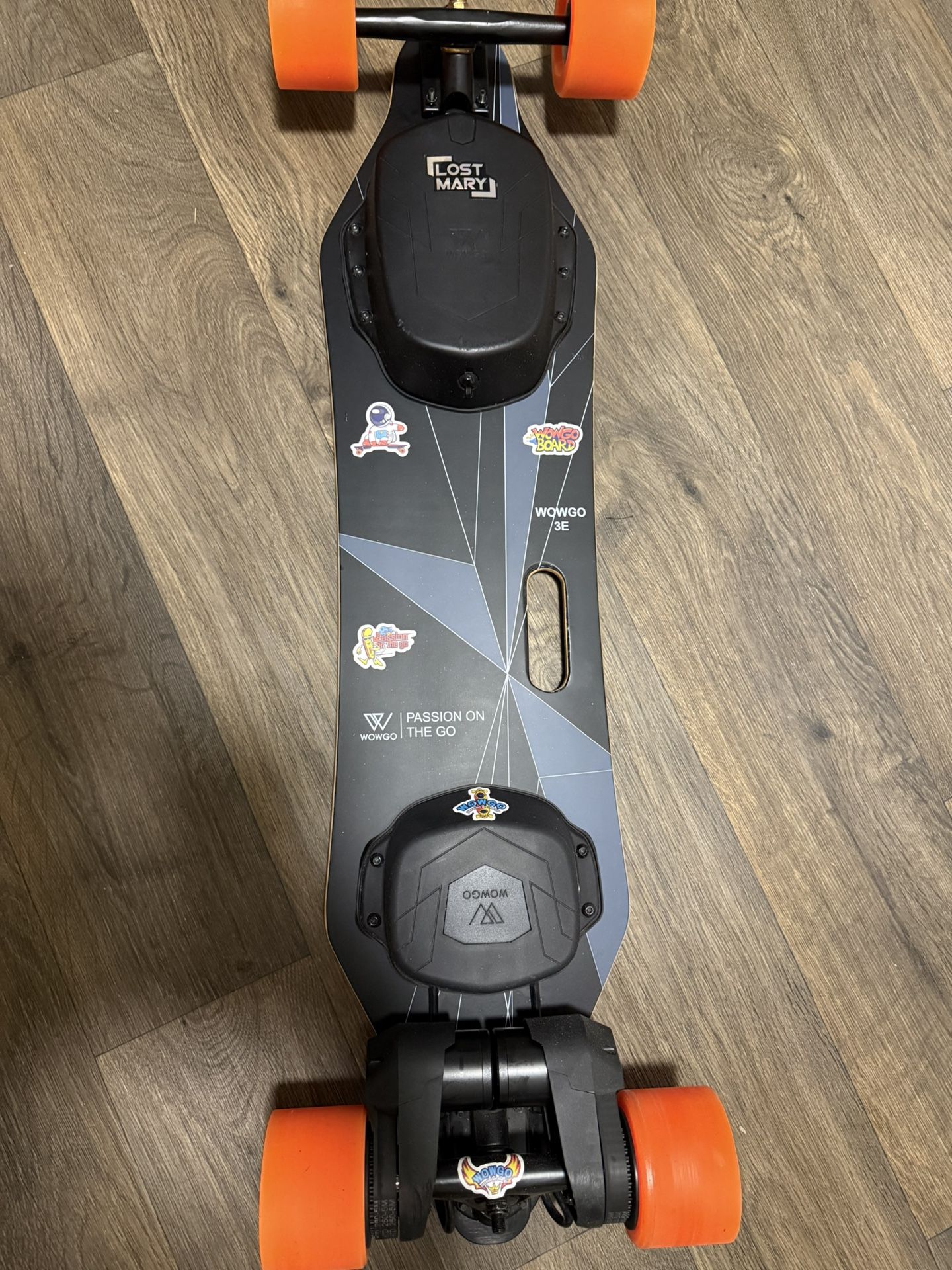 Electric Skateboard (wowgo)