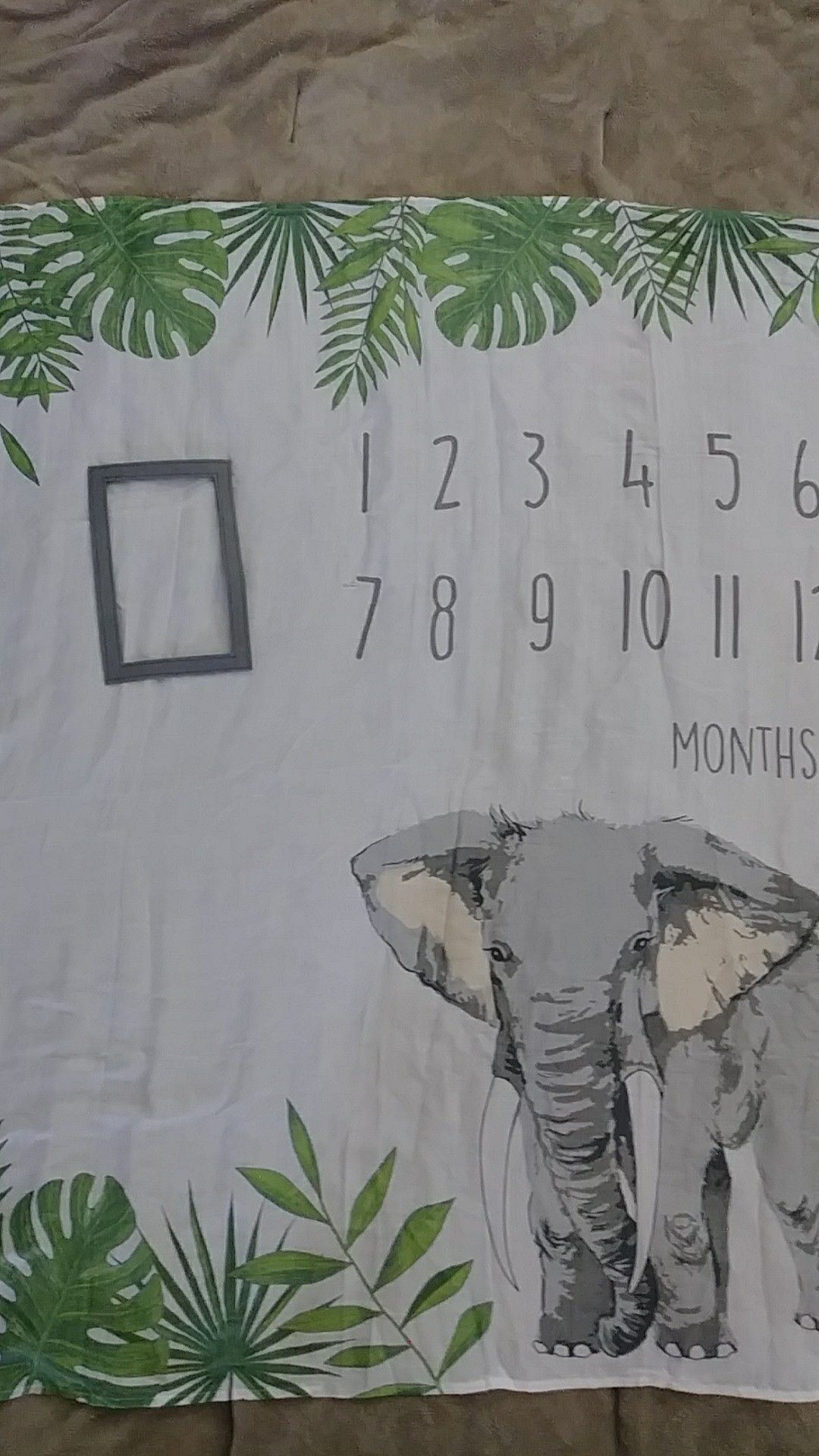 Infant month to month growth chart blankey