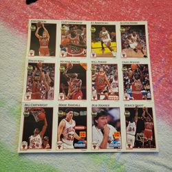 1991-92 NBA Hoops Osco Kodak Chicago Bulls Team Uncut Sheet 12 Cards Jordan, Etc