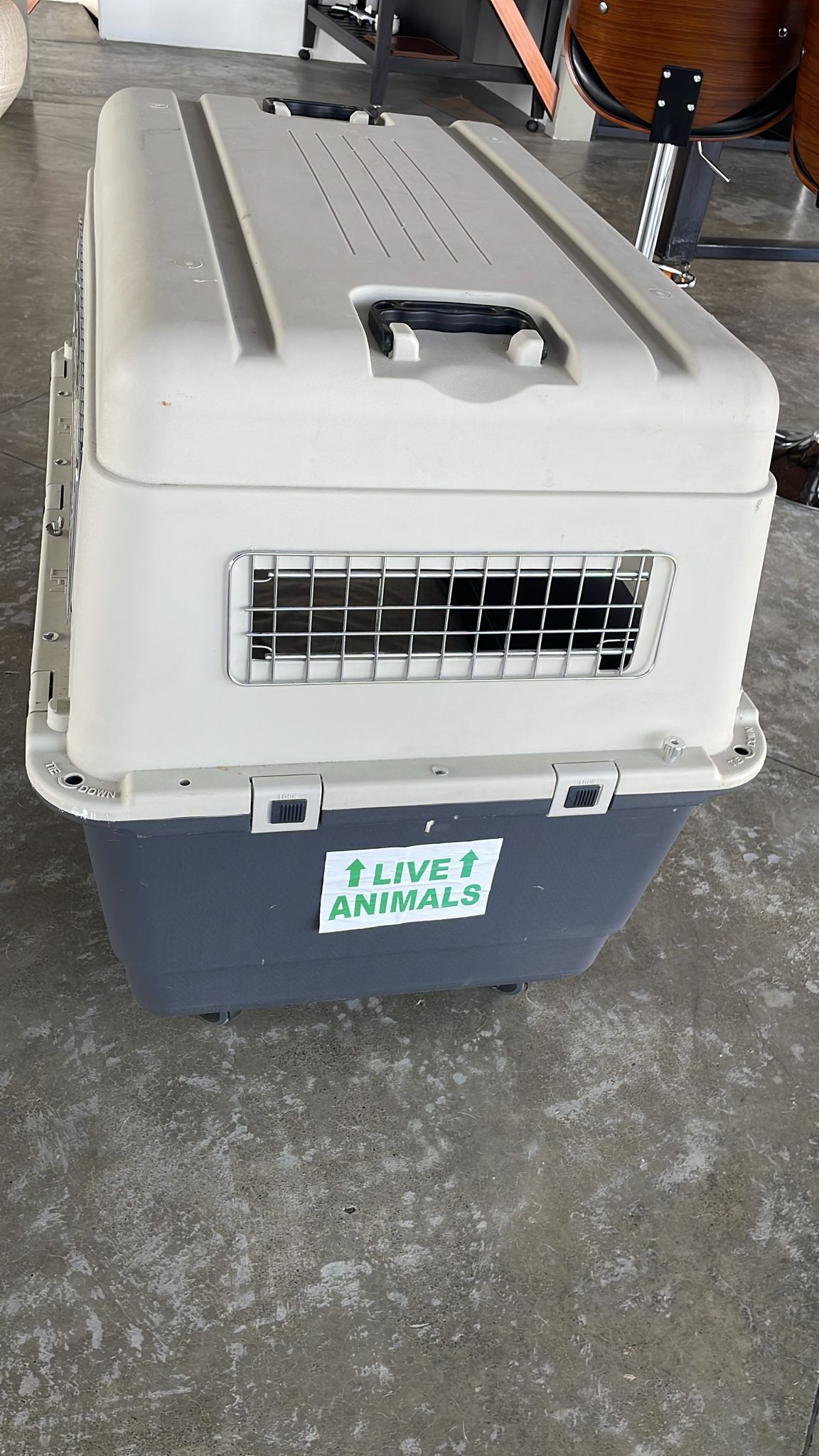 Dog Kennel (Cage)
